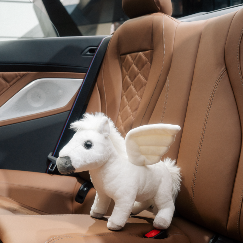 Fun - Inspirações para Momentos de Alegria